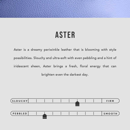 Aster | infographic