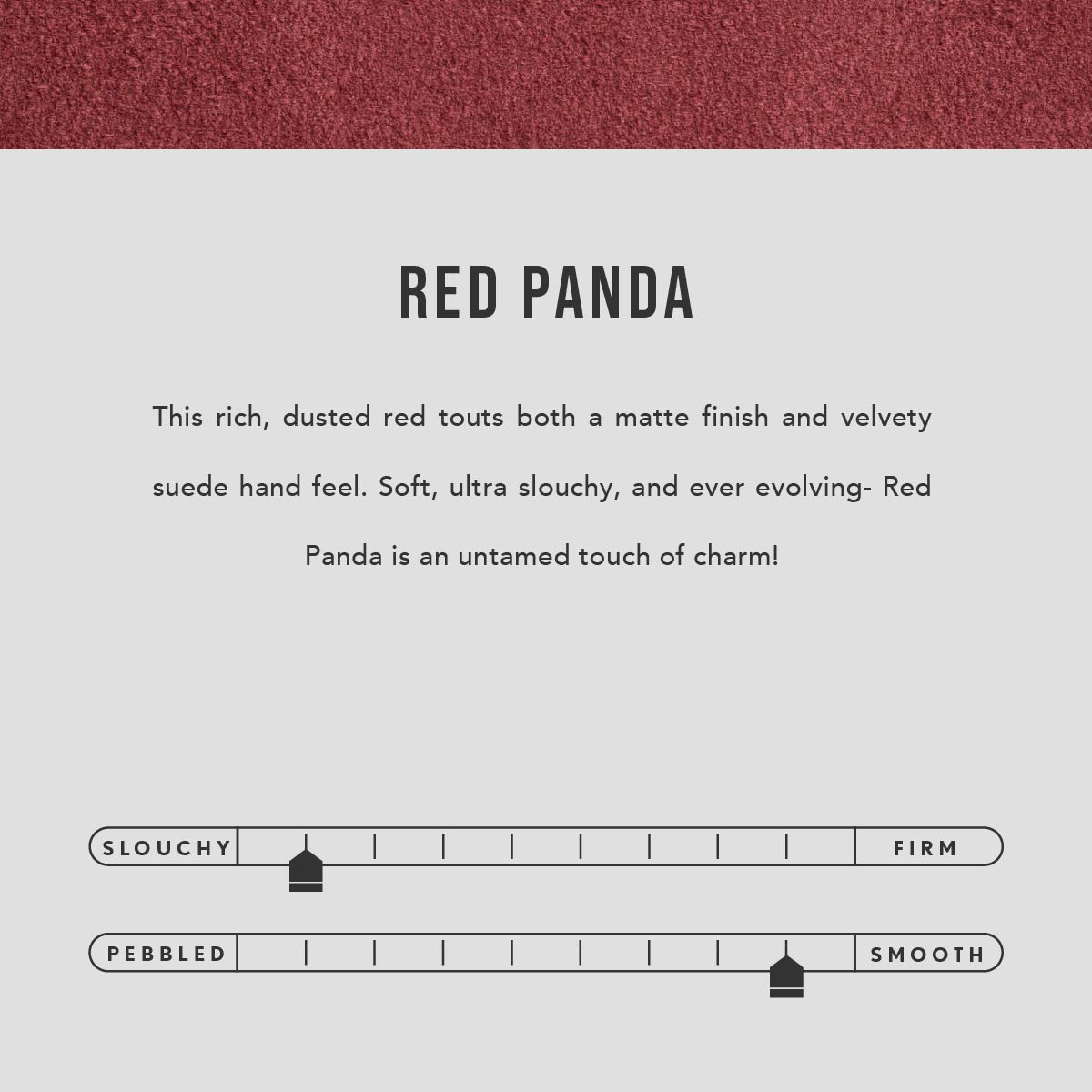 Red Panda | infographic