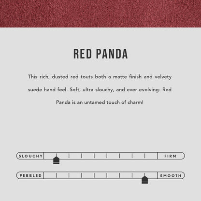 Red Panda | infographic