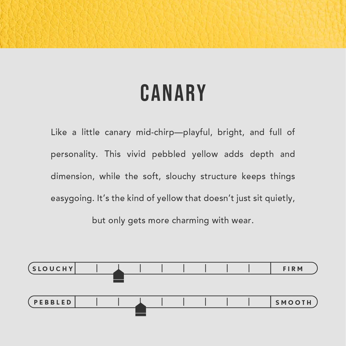 Canary | infographic